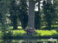260530-Haarlem-23