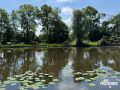 260530-Haarlem-25